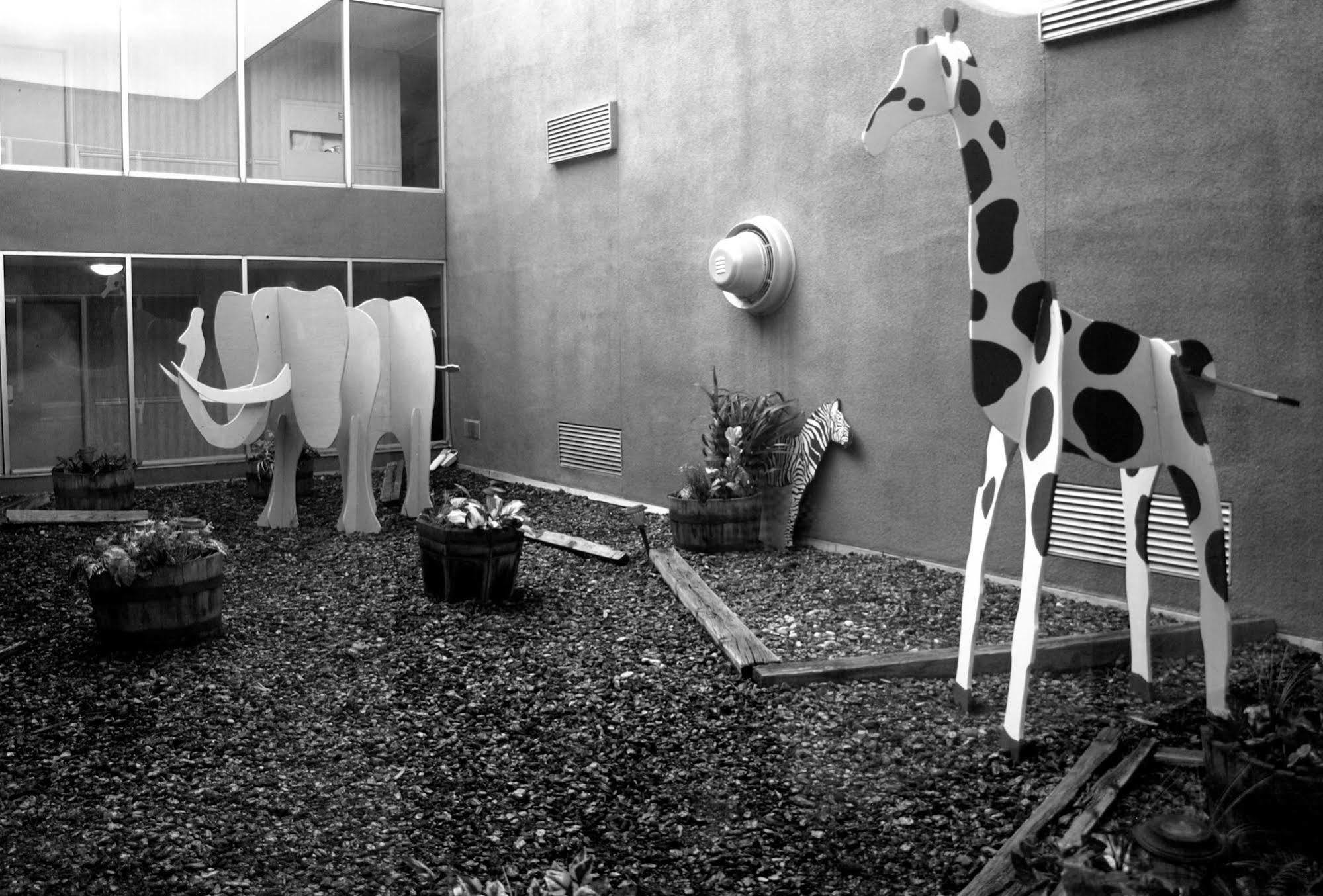 Safari Inn Downtown บอยซี ภายนอก รูปภาพ